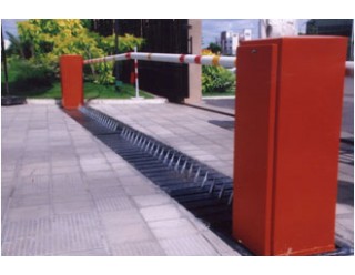 Flush Mount Spike System